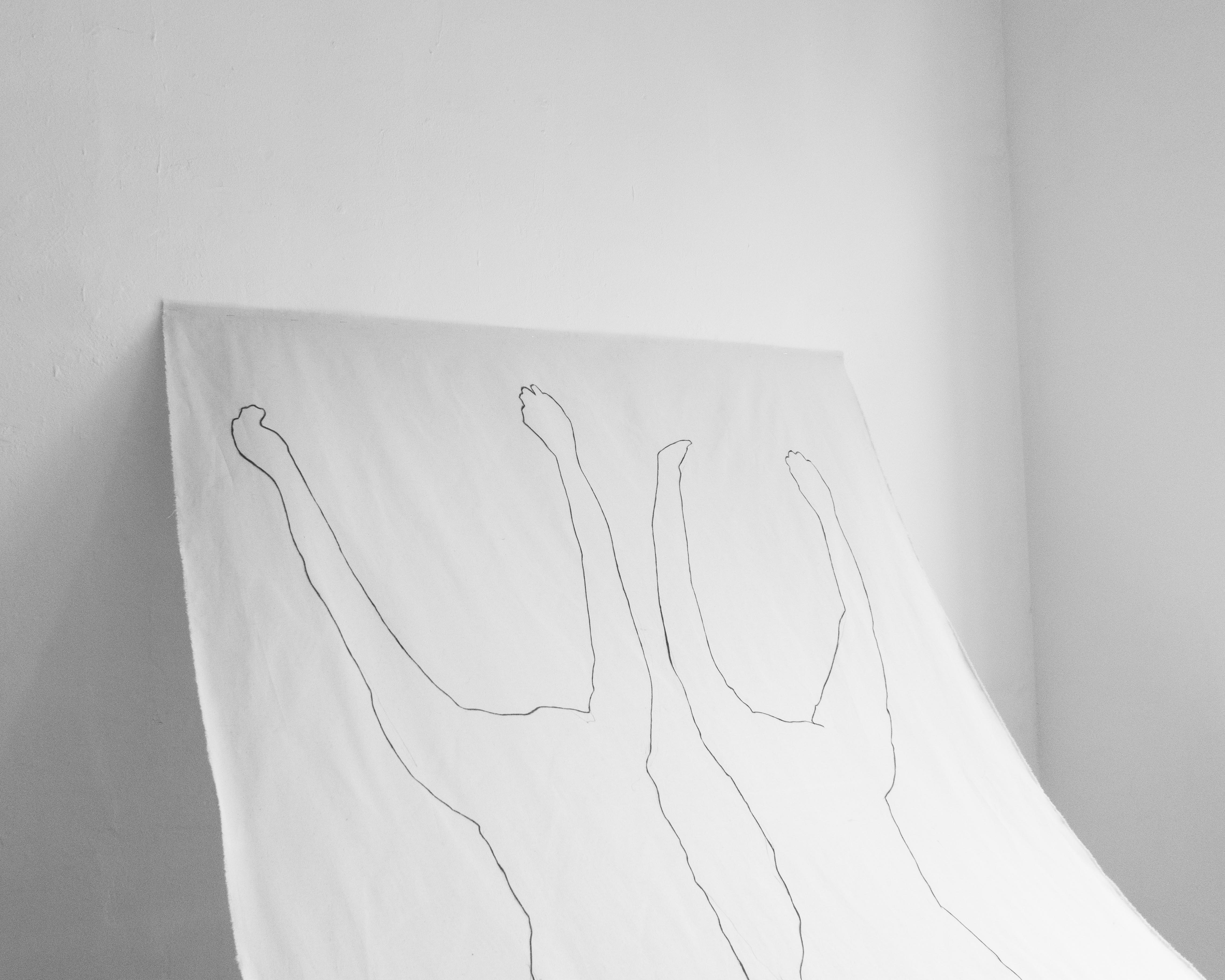 Outlined 6