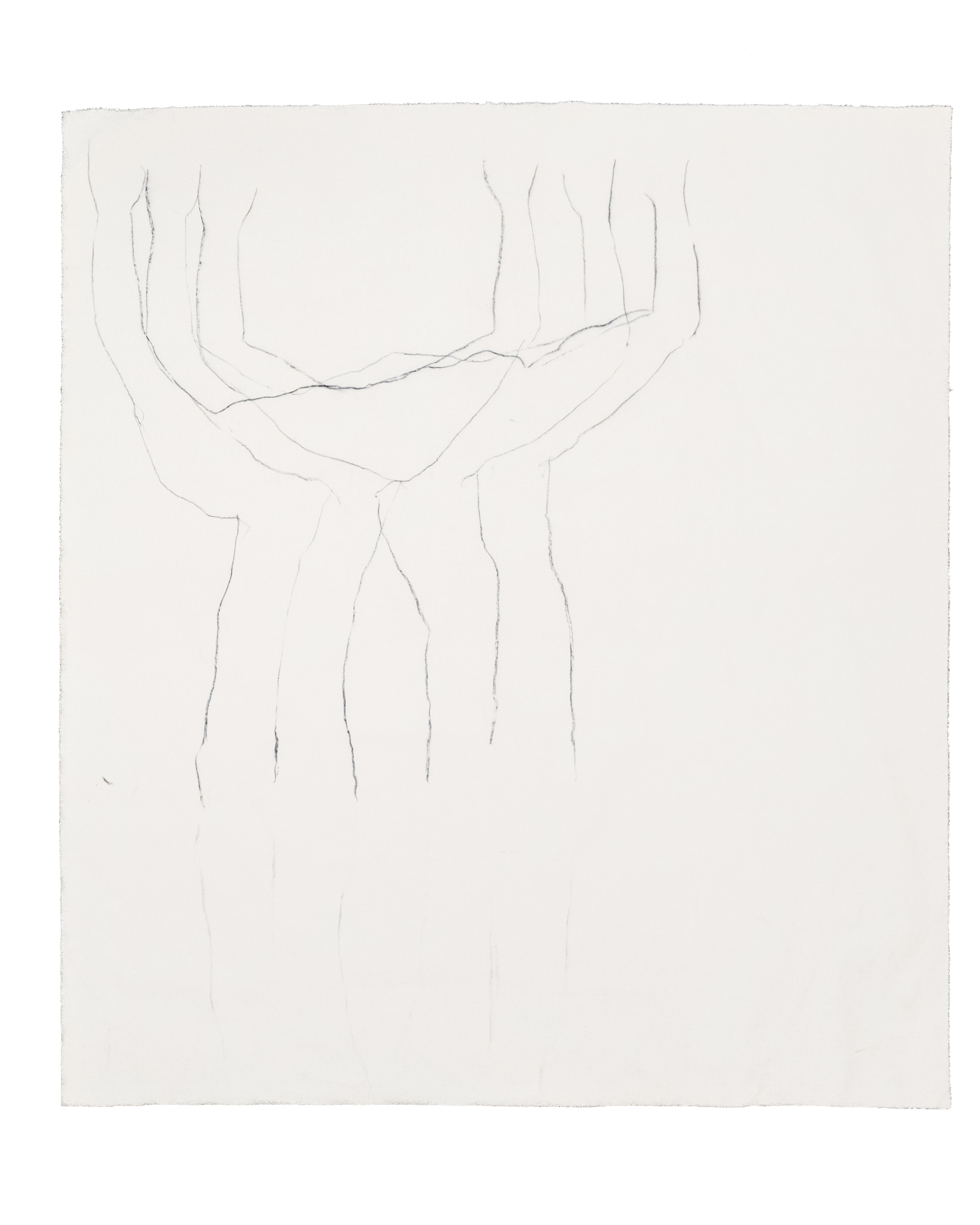 Outlined 11